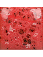Mayco Speckled Cutie Pie Coral Stroke and Coat 473ml