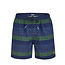 Happy Shorts Happy Shorts Men's Swim Shorts Blue / Green Striped