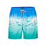 Happy Shorts Happy Shorts Swim Shorts Men Blue Waves Print