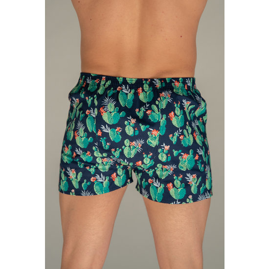 Happy Shorts Happy Shorts Wide Boxer Shorts Cactus Print