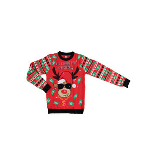 Apollo Christmas Sweater Men With Led Lights Red