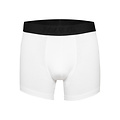 Phil & Co Phil & Co Boxer Shorts Men 8-Pack Multi Solid Colors