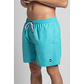 Happy Shorts Happy Shorts Swimming Shorts Men Basic Solid Ocean Green