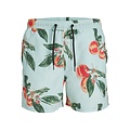 Jack & Jones Jack & Jones Men's Swimming Shorts JPSTFIJI BAHAMA Print