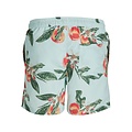 Jack & Jones Jack & Jones Men's Swimming Shorts JPSTFIJI BAHAMA Print