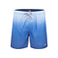 Happy Shorts Happy Shorts Swimming Shorts Men Blue Color Flow