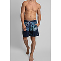 Happy Shorts Happy Shorts Men's Swimming Shorts Water Color Stripes Blue