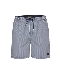 Phil & Co Men's Swim Shorts Striped Blue / White