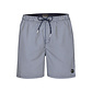 Phil & Co Phil & Co Men's Swim Shorts Striped Blue / White