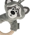 Apollo Apollo Baby Giftbox Raccoon - Maternity Gift