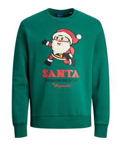 Jack & Jones Men's Christmas sweater JORXMAS Green