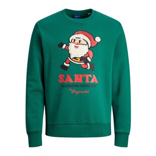 Jack & Jones Men's Christmas sweater JORXMAS Green