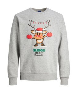 Jack & Jones Men's Christmas Sweater JORXMAS Gray