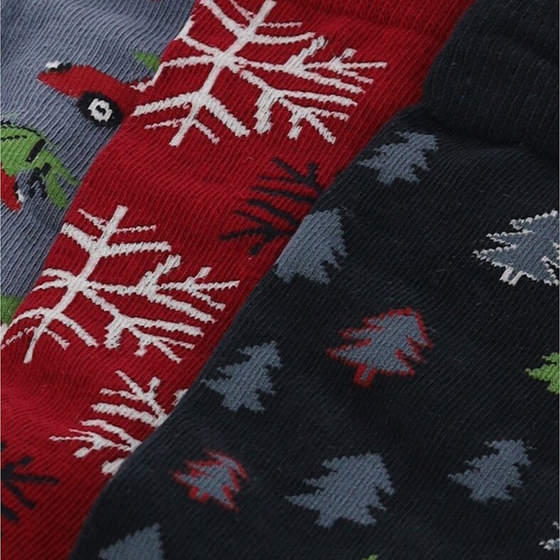 Apollo Apollo Men's Christmas Socks Gift Box 3-Pack