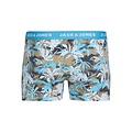 Jack & Jones Jack & Jones Men's Boxer Shorts Trunks JACDAMIAN 7-Pack