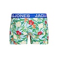 Jack & Jones Jack & Jones Plus Size Boxer Shorts Men's Trunks JACPINEAPPLE Floral 3-Pack