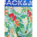 Jack & Jones Jack & Jones Plus Size Boxer Shorts Men's Trunks JACPINEAPPLE Floral 3-Pack