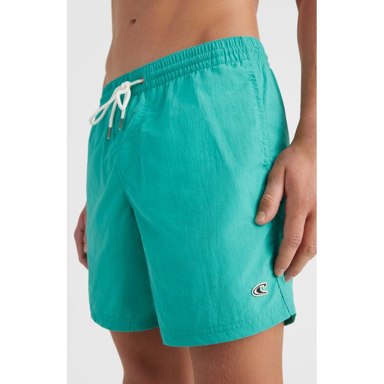 O'Neill O'Neill Men's Swimsuit Vert 16" Green