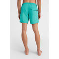 O'Neill O'Neill Men's Swimsuit Vert 16" Green