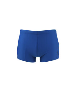 O'Neill Men's Swim Boxer Racer Blue