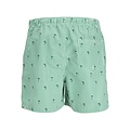 Jack & Jones Jack & Jones Men's Swim Short Striped Green