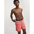 Jack & Jones Jack & Jones Heren Zwemshorts JPSTFIJI Black Tape Effen Hot Coral