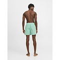 Jack & Jones Jack & Jones Heren Zwemshort Gestreept Groen