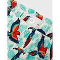 Name It Name It Boys Swim Short Kids NKMZADDI Parrot Print White