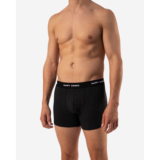 Happy Shorts Happy Shorts 3-Pack Boxershorts Heren D923 Stripes Print