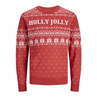 Jack & Jones Christmas Sweater Men's Knitted JORHOLLY Red