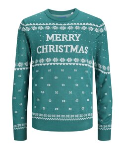 Jack & Jones Christmas Sweater Men's Knitted JORHOLLY Green