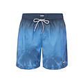 Happy Shorts Happy Shorts Men's Swim Short Faded Palm Tree Print Blue