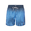 Happy Shorts Happy Shorts Heren Zwemshort Faded Palmboom Print Blauw