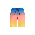 O'Neill O'Neill Heren Boardshort Heat Fade 19" Colorfade Print