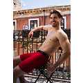 Phil & Co Phil & Co Boxer Shorts Men's Long-Pipe Boxer Briefs 4-Pack Red / Black