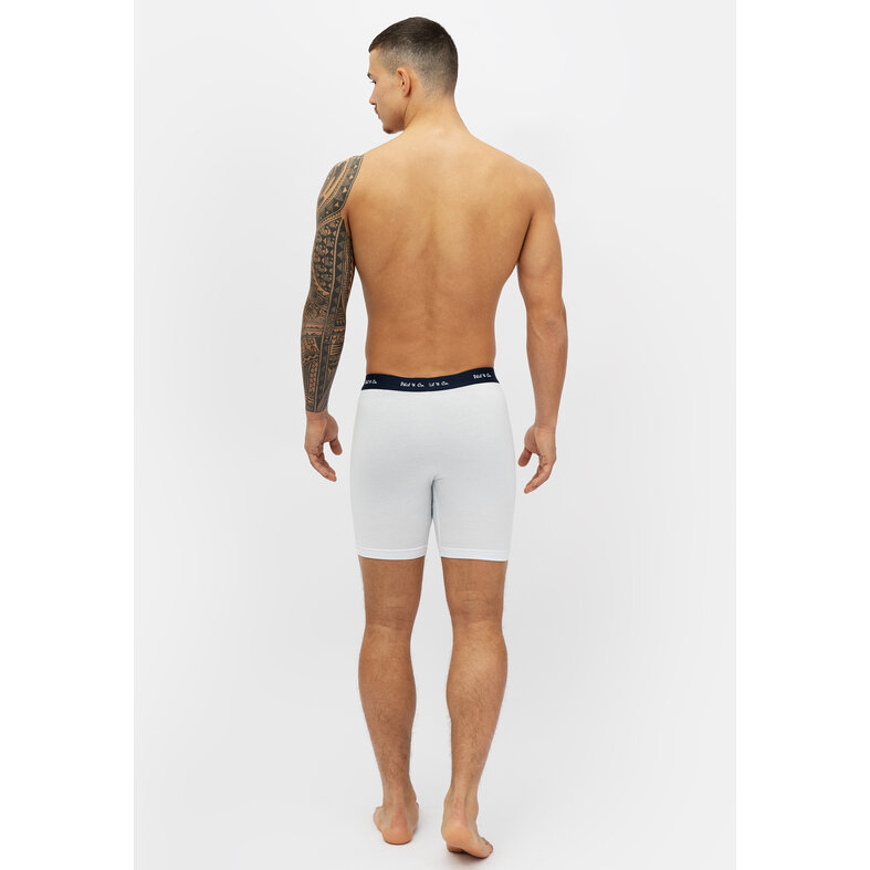 Phil & Co Phil & Co Boxer Shorts Men's Long-Pipe Boxer Briefs 4-Pack White / Grey