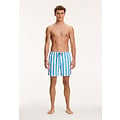 Shiwi Shiwi Men's Swim Short Broad Stripe Blue