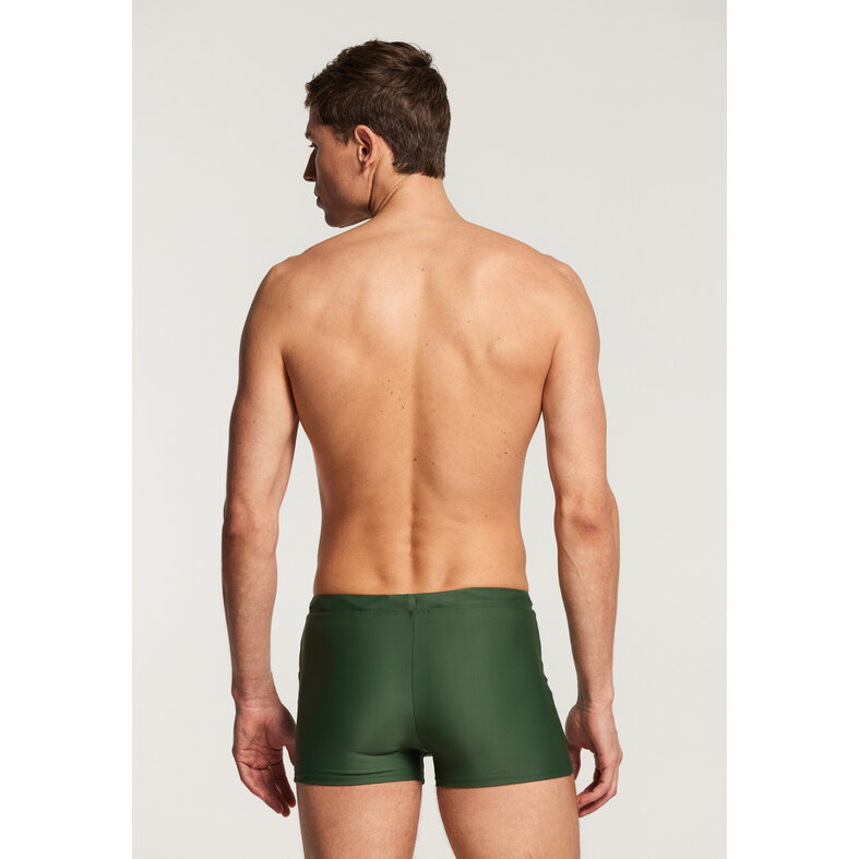 Shiwi Shiwi Men's Swim Boxer Plain Green
