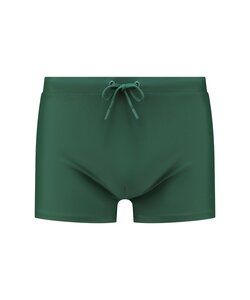 Shiwi Men's Swim Boxer Plain Green