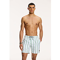 Shiwi Shiwi Men's Swim Short Broad Stripe Green