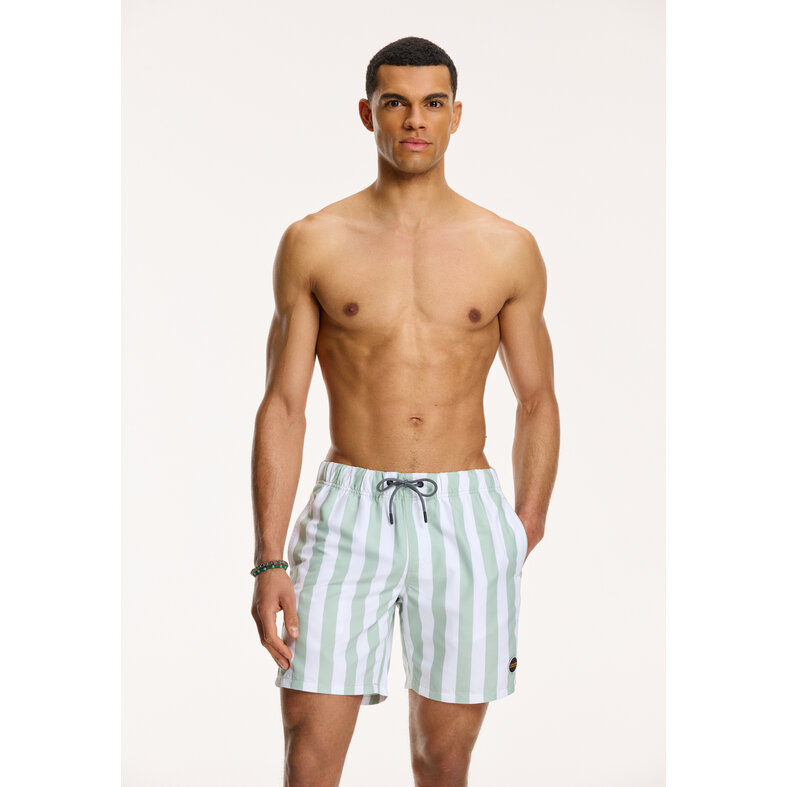 Shiwi Shiwi Men's Swim Short Broad Stripe Green