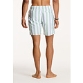 Shiwi Shiwi Men's Swim Short Broad Stripe Green