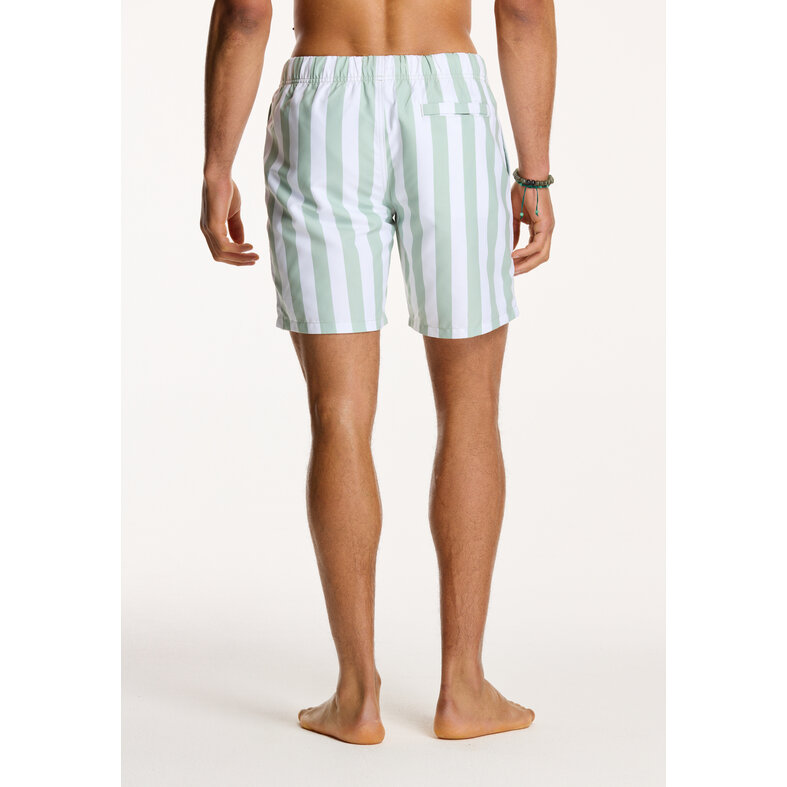 Shiwi Shiwi Men's Swim Short Broad Stripe Green