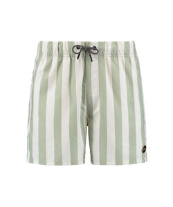 Shiwi Men's Swim Short Broad Stripe Green