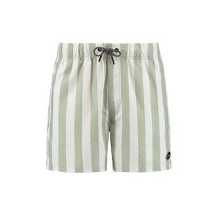 Shiwi Men's Swim Short Broad Stripe Green