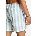 Shiwi Shiwi Men's Swim Short Broad Stripe Green