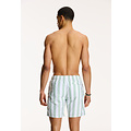 Shiwi Shiwi Men's Swim Short Broad Stripe Green