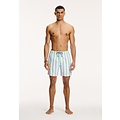 Shiwi Shiwi Men's Swim Short Broad Stripe Green