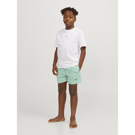 Jack & Jones Junior Jack & Jones Junior Swim Short Boys JPSTFIJI Striped Green