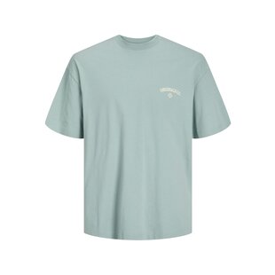 Jack & Jones Men's T-shirt JORSANTORINI Round Neck Mint Green